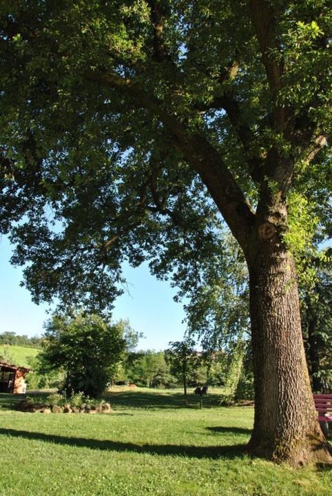 B&B La Vecchia Quercia Home Restaurant Fornovo di Taro Dış mekan fotoğraf